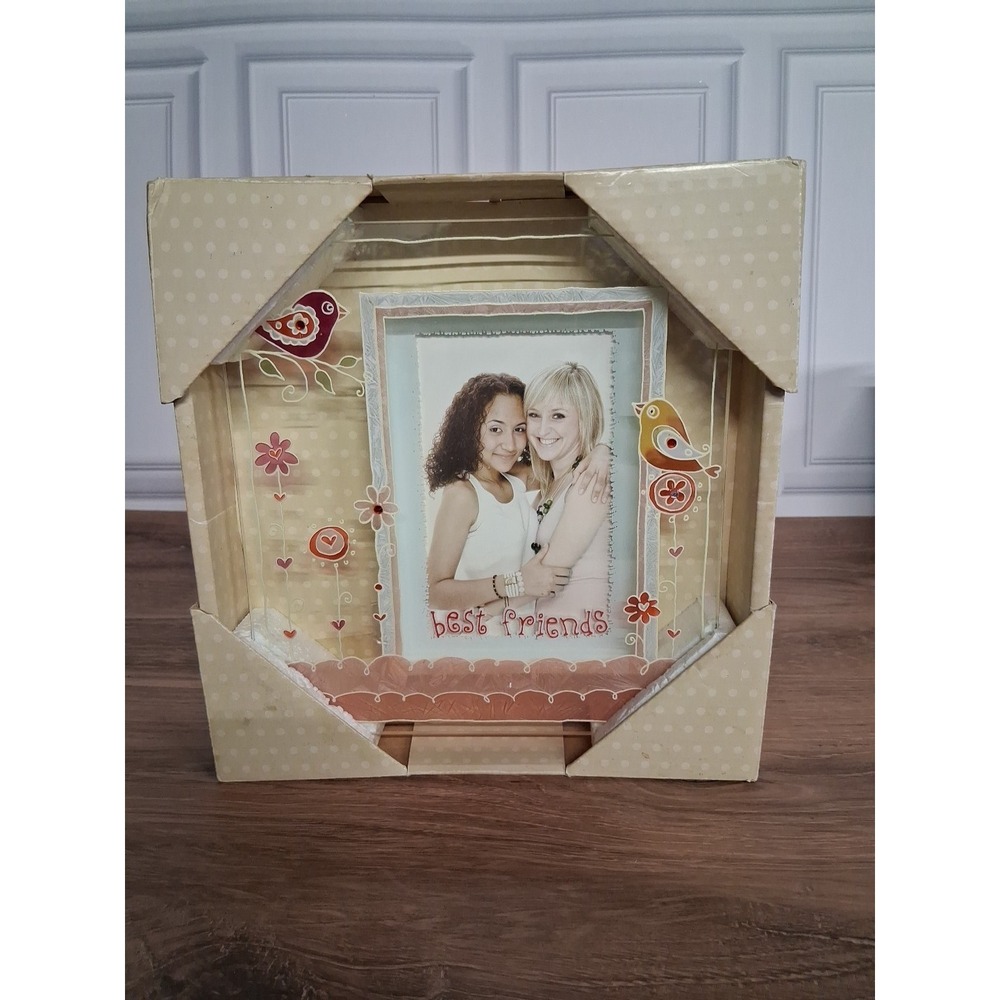 'Best Friends' Painted Glass Frame for 4 X 6 Photo